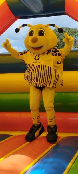 43242341.jpg