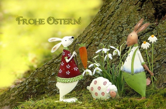 Bild10832497.jpg